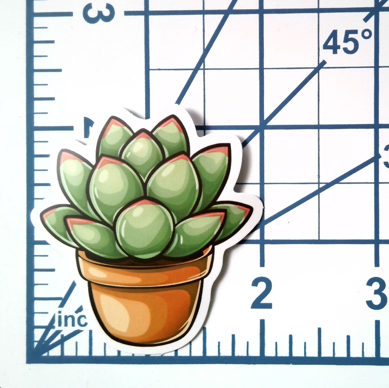 Vinyl Sticker Die Cut Echeveria Decal Succulent Rosette Plant Journal Scrapbook