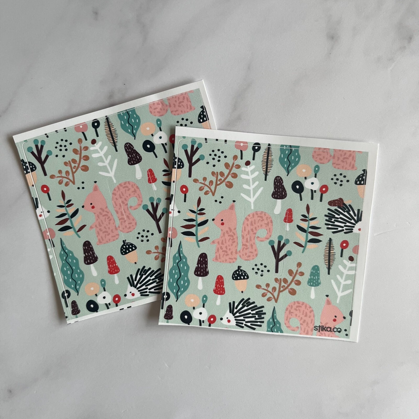 Pack of 2 Squirrel, Woodland Animal Print Light Switch Sticker Vinyl Cover Skin