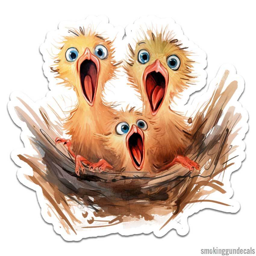 Hungry Baby Birds, Vinyl Decal Sticker, Indoor Outdoor, 3 Sizes, #12518
