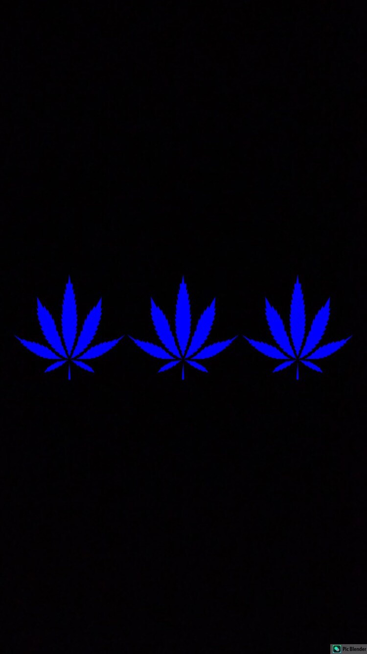 MARIJUANA POT LEAF Wholesale Lot 3 Vinyl Decal Stickers Window Bumper 3.5”