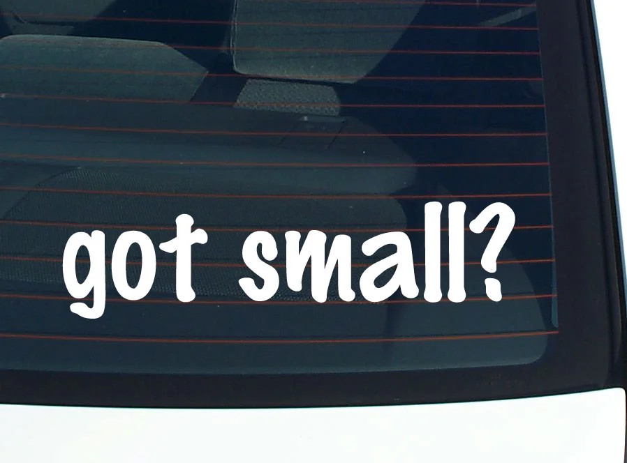 got small? FUNNY VINYL CAR DECAL STICKER FAMILY LAST NAME