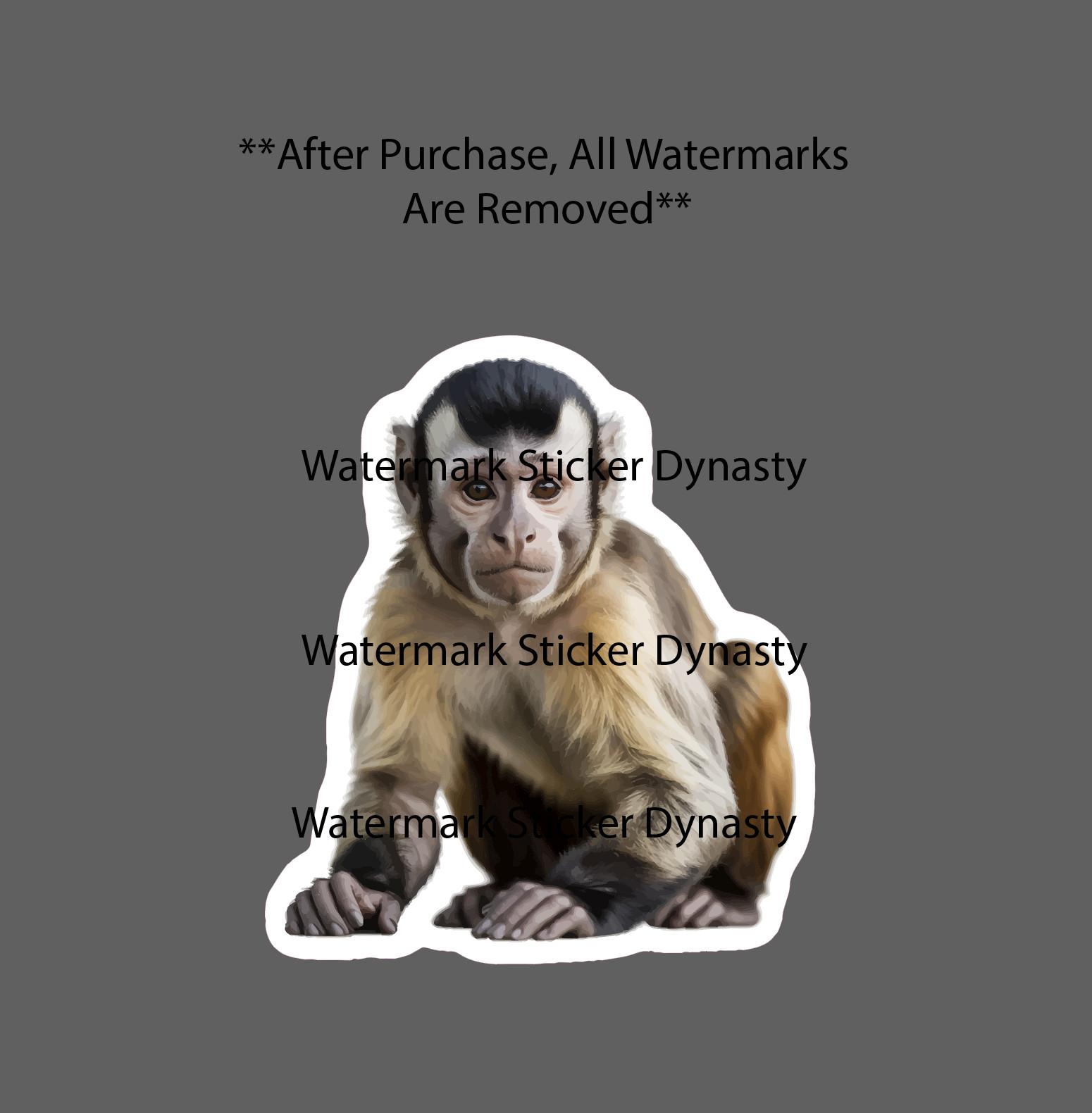Capuchin Monkey Sticker Waterproof Decal Animal Outdoor Wildlife Travel Gift NEW