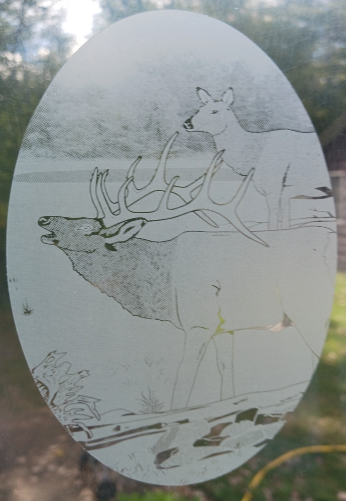 Elk Family 15"x23" OVAL Etched Glass Look Cling Removable & Reusable 87