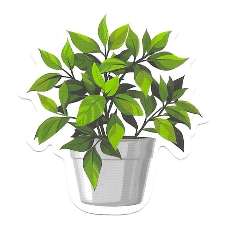 Vinyl Sticker Die Cut Ficus Bush Decal Foliage Plant Houseplant Journal Cute