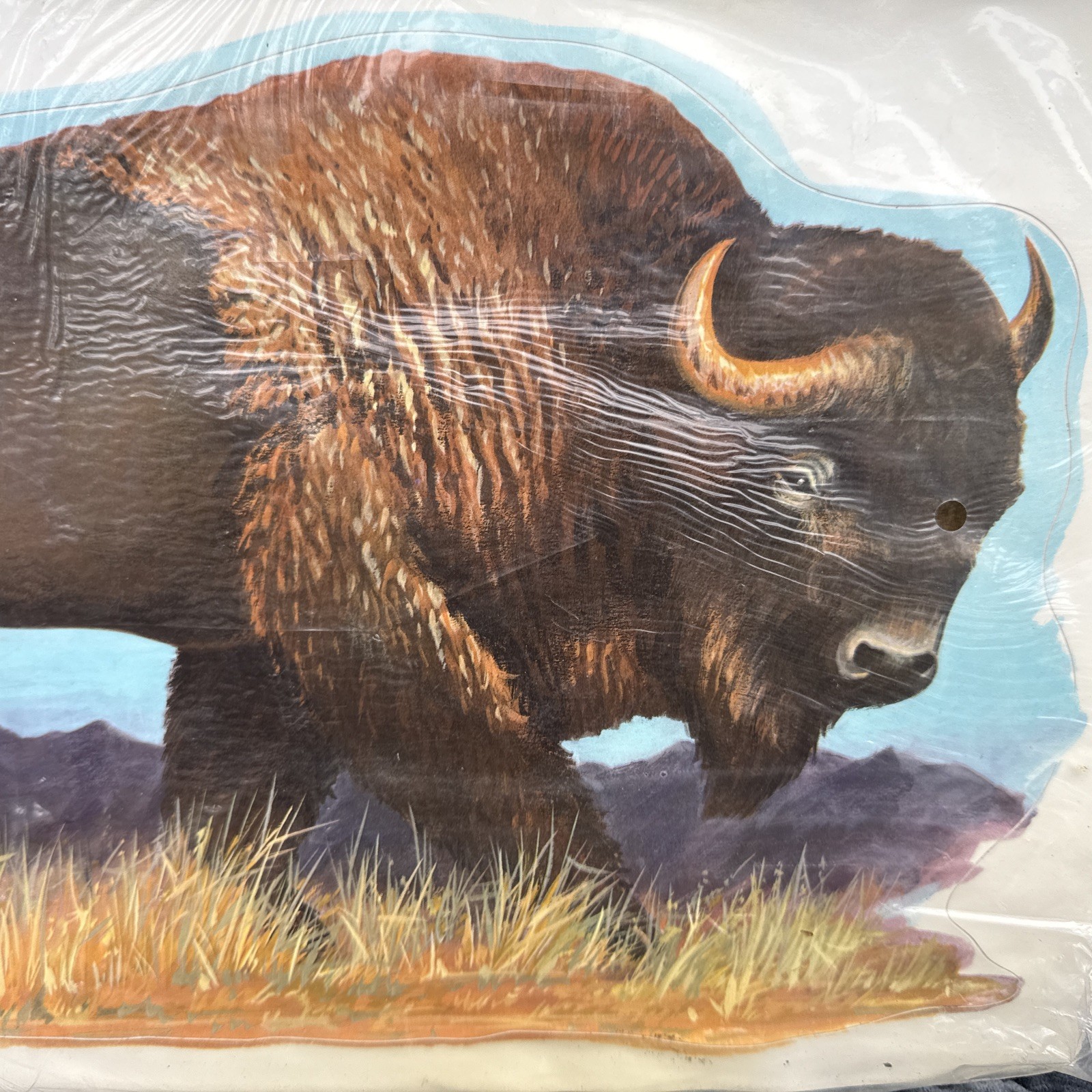 Vintage NOS Sport-Stik Buffalo Vinyl Decal Sticker 13.5” Meyercord 11E NIP
