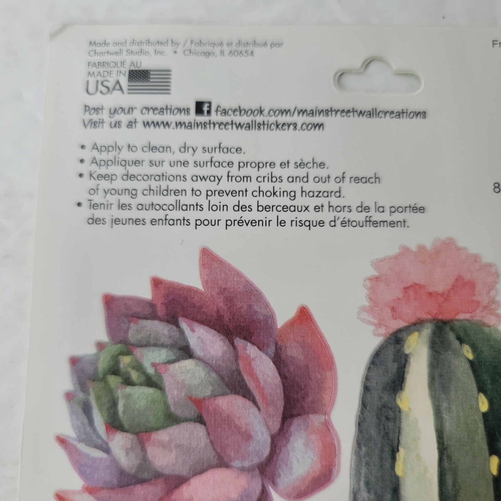 2 PKG NEW Friendly Succulents Cactus Plants Peel & Stick Wall Decals 290253