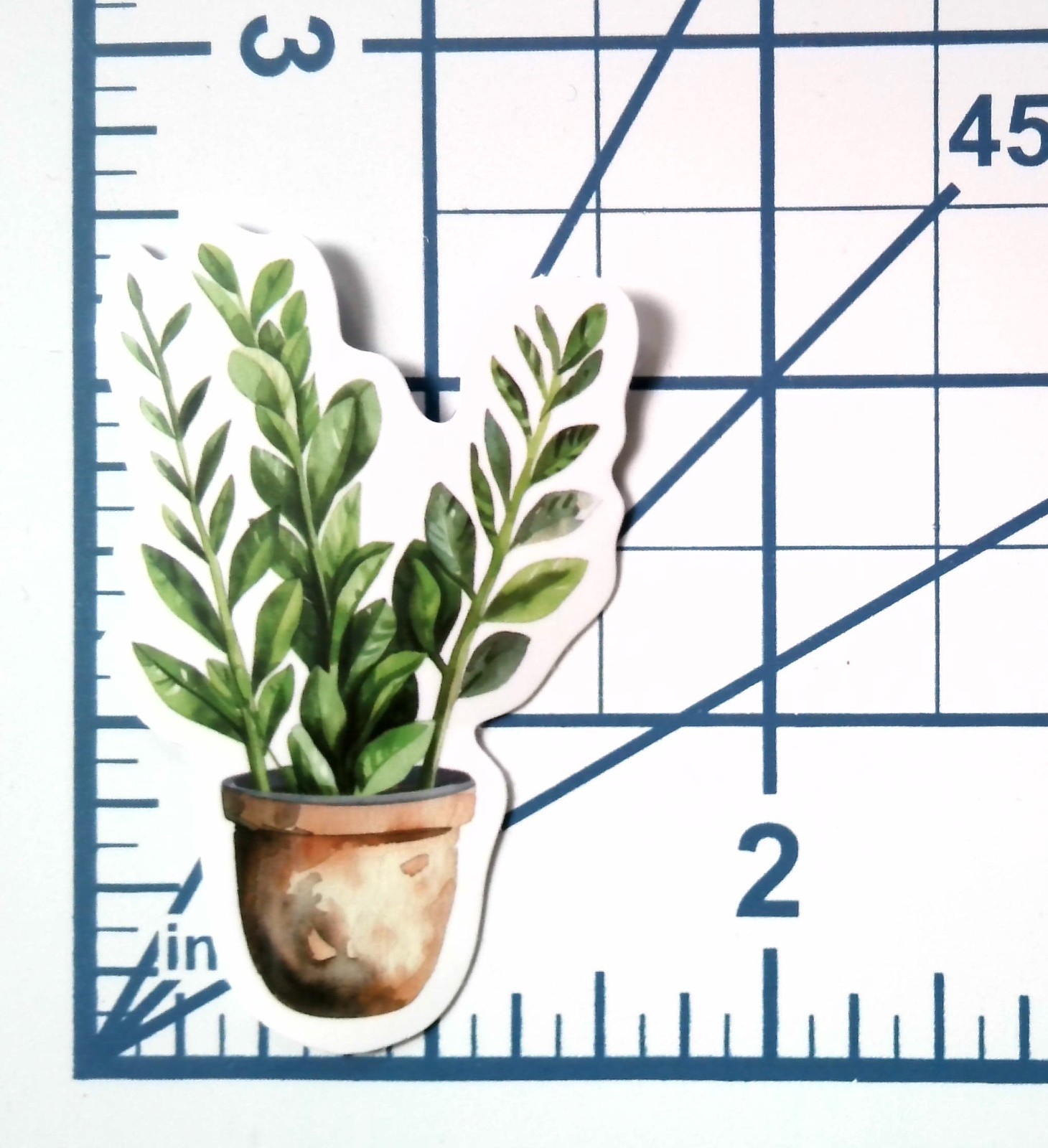 Vinyl Sticker Die Cut ZZ Plant Decal Foliage Houseplant Journal Scrapbook Laptop
