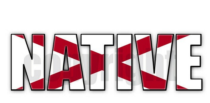 Alabama Native Flag Stickers Alabama State Flag Decals Vinyl Indoor Outdoor