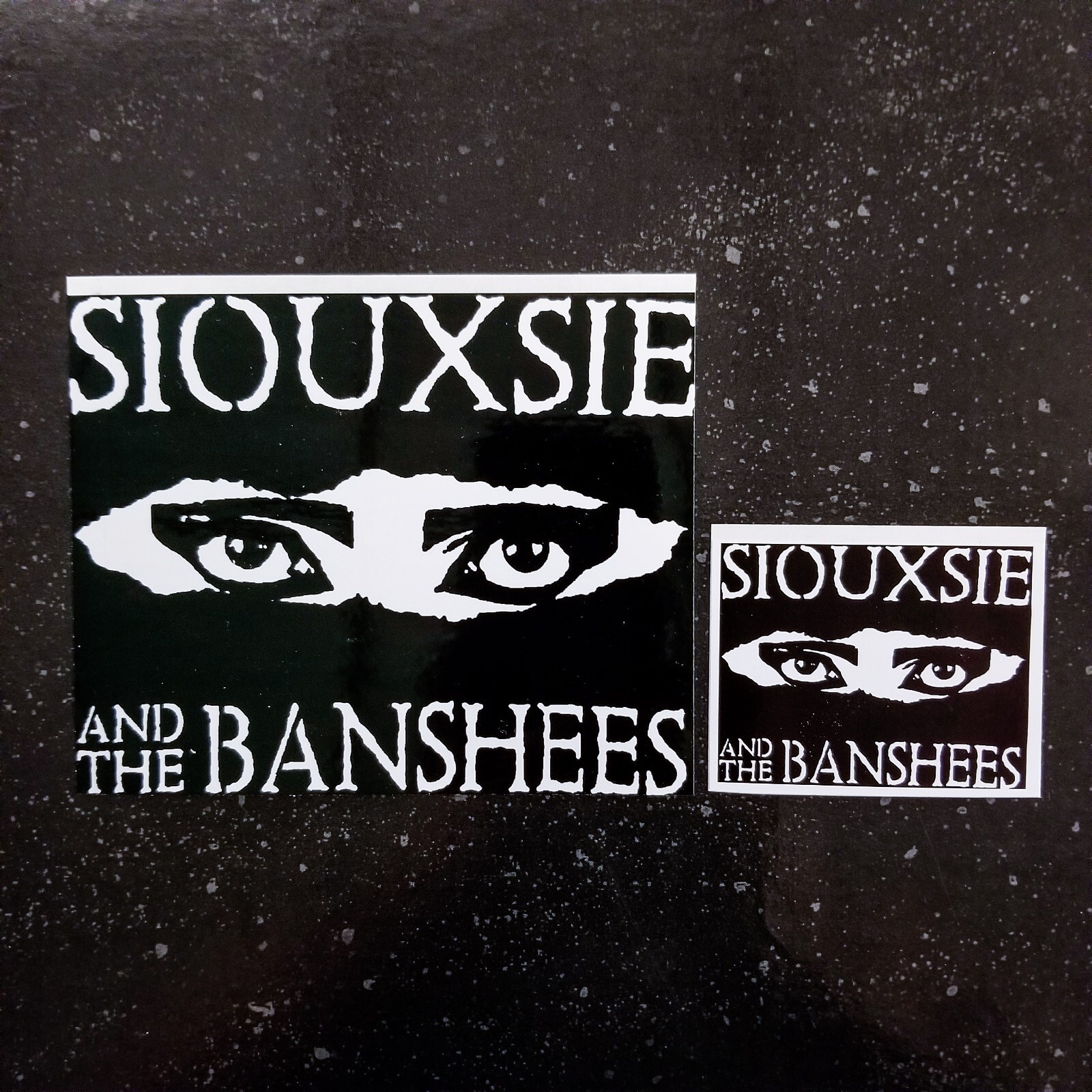 🦇 Siouxsie and The Banshees 5 x 4" Waterproof Vinyl Sticker [💪 HQ Durability!]