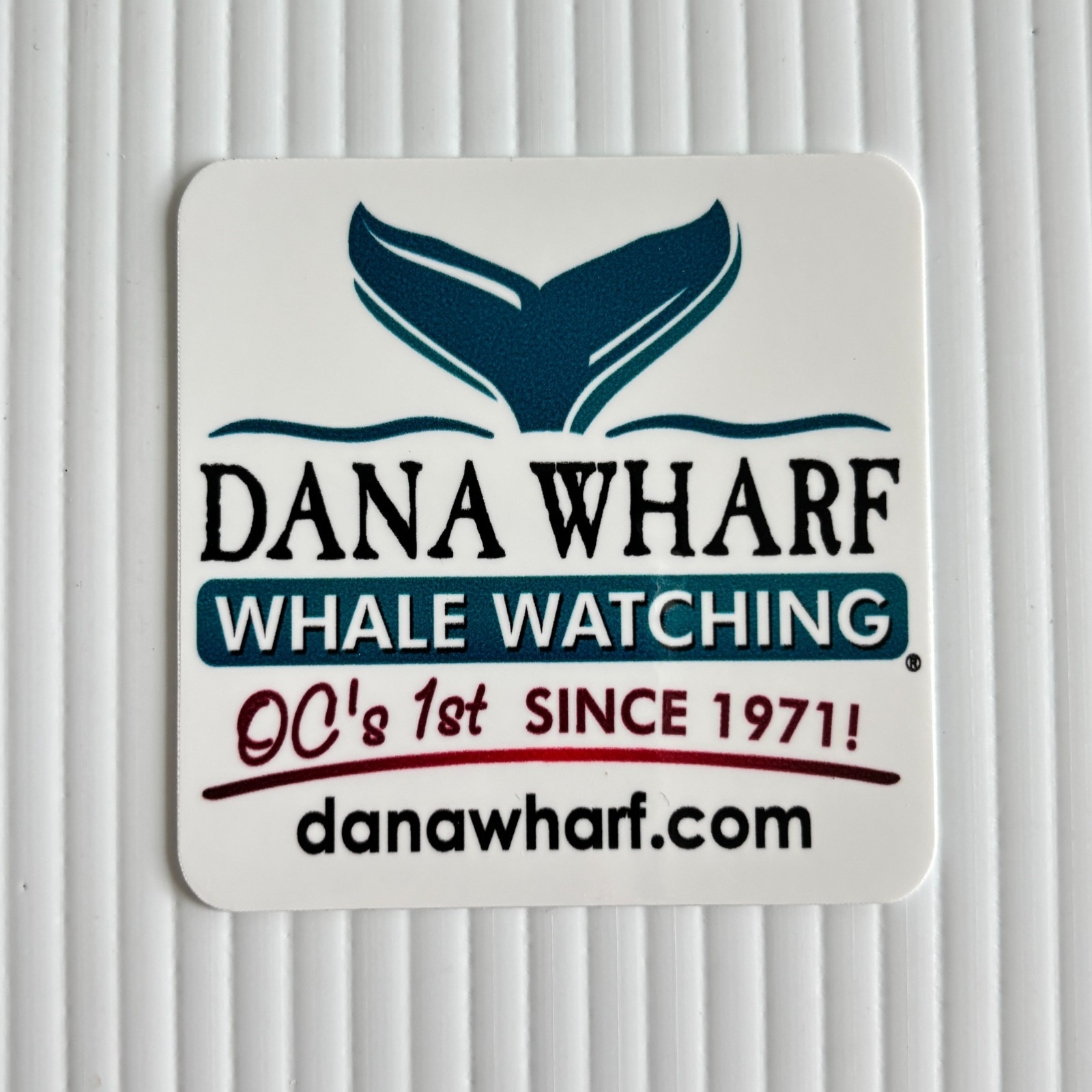 Dana Wharf Whale Watching Sticker Square 2.5in White