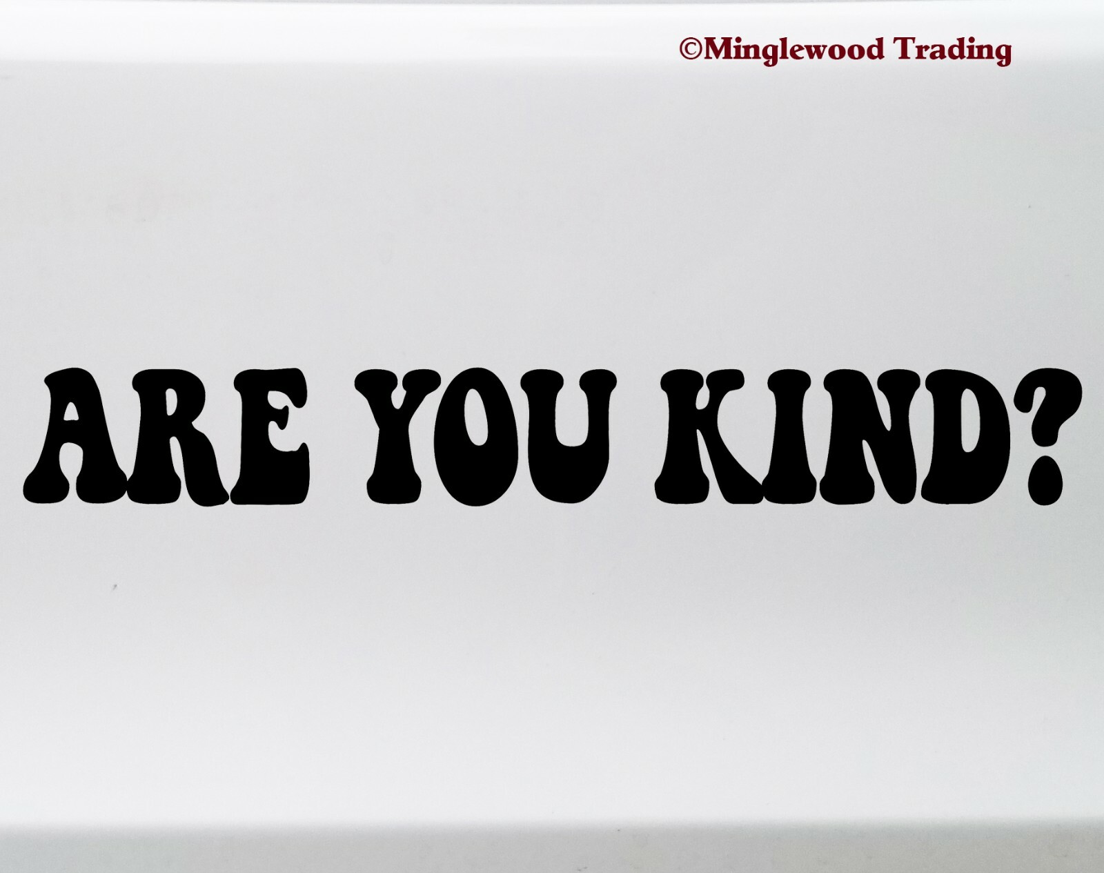 Are You Kind? Vinyl Sticker – Kindness Grateful Dead – Die Cut Decal V2