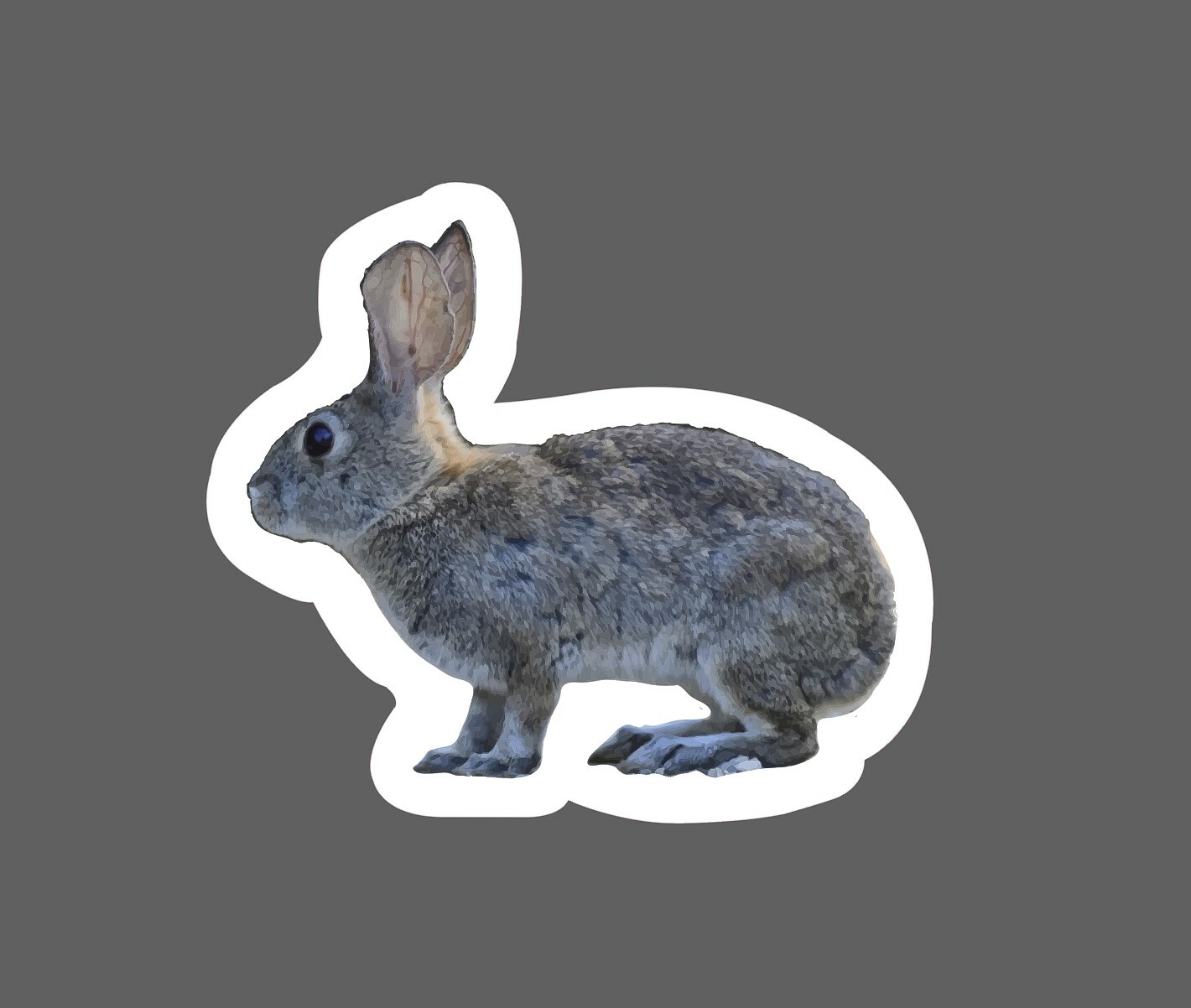 Rabbit Sticker Waterproof Realistic Hare Outdoor Nature Wildlife Gift NEW