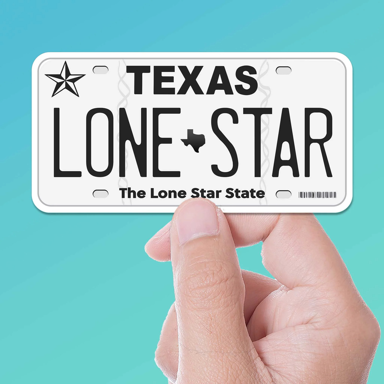Lone Star Texas License Plate Sticker