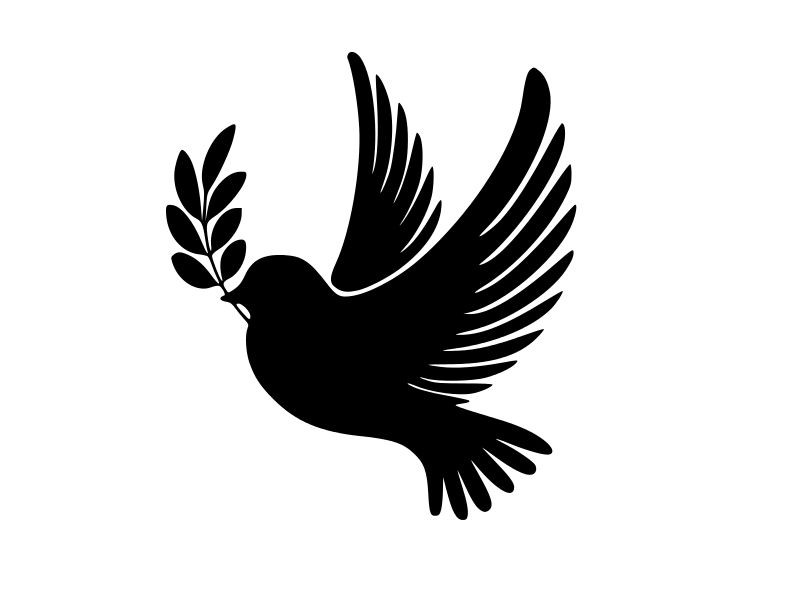 DOVE Peace on Earth Vinyl Decal Car Truck Wall Sticker CHOOSE SIZE COLOR