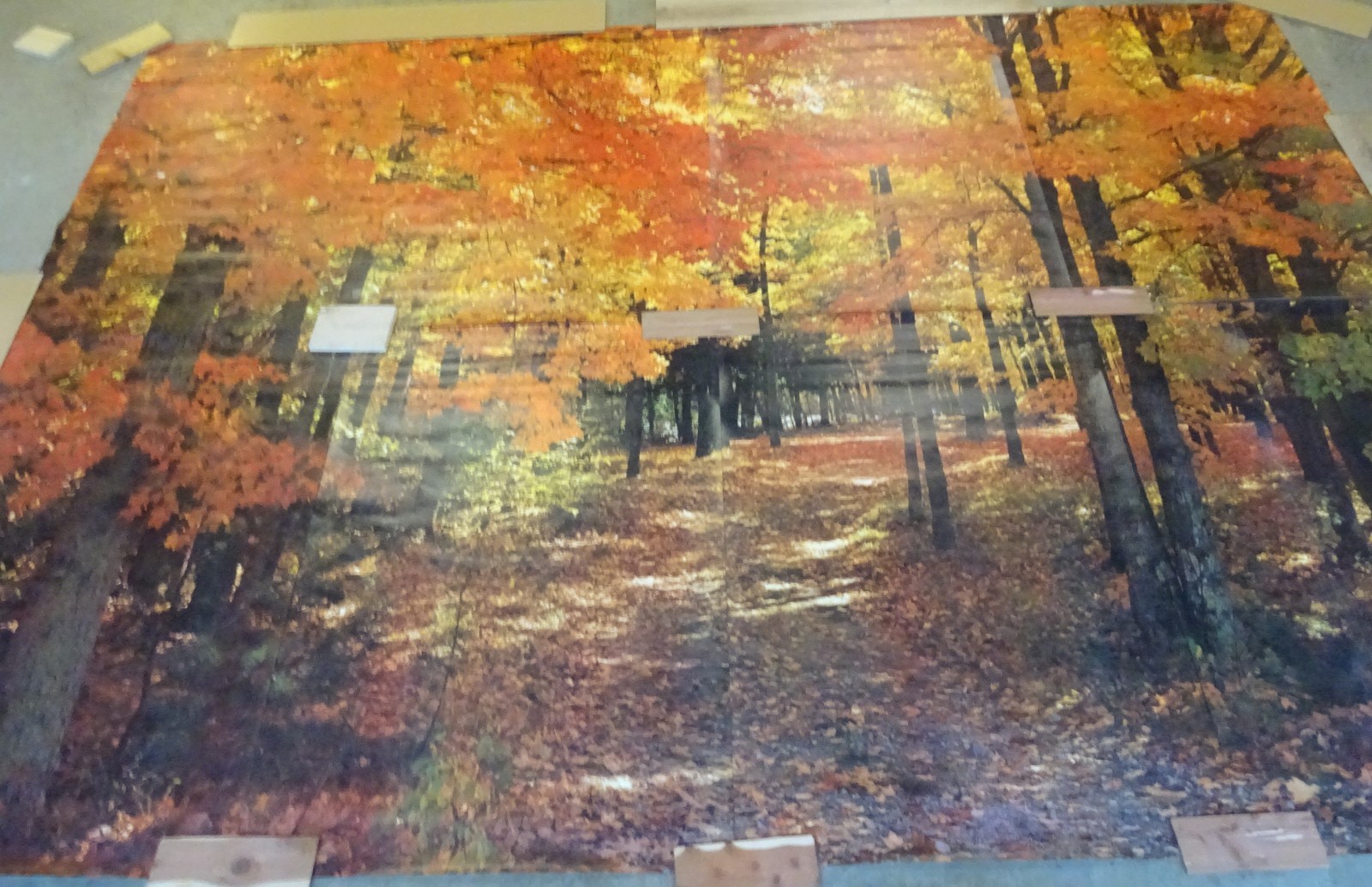Full Wall Photo Mural Colorful Autumn Leaves Forest Path Tree 8’ 8” x 12’ 6” NOS