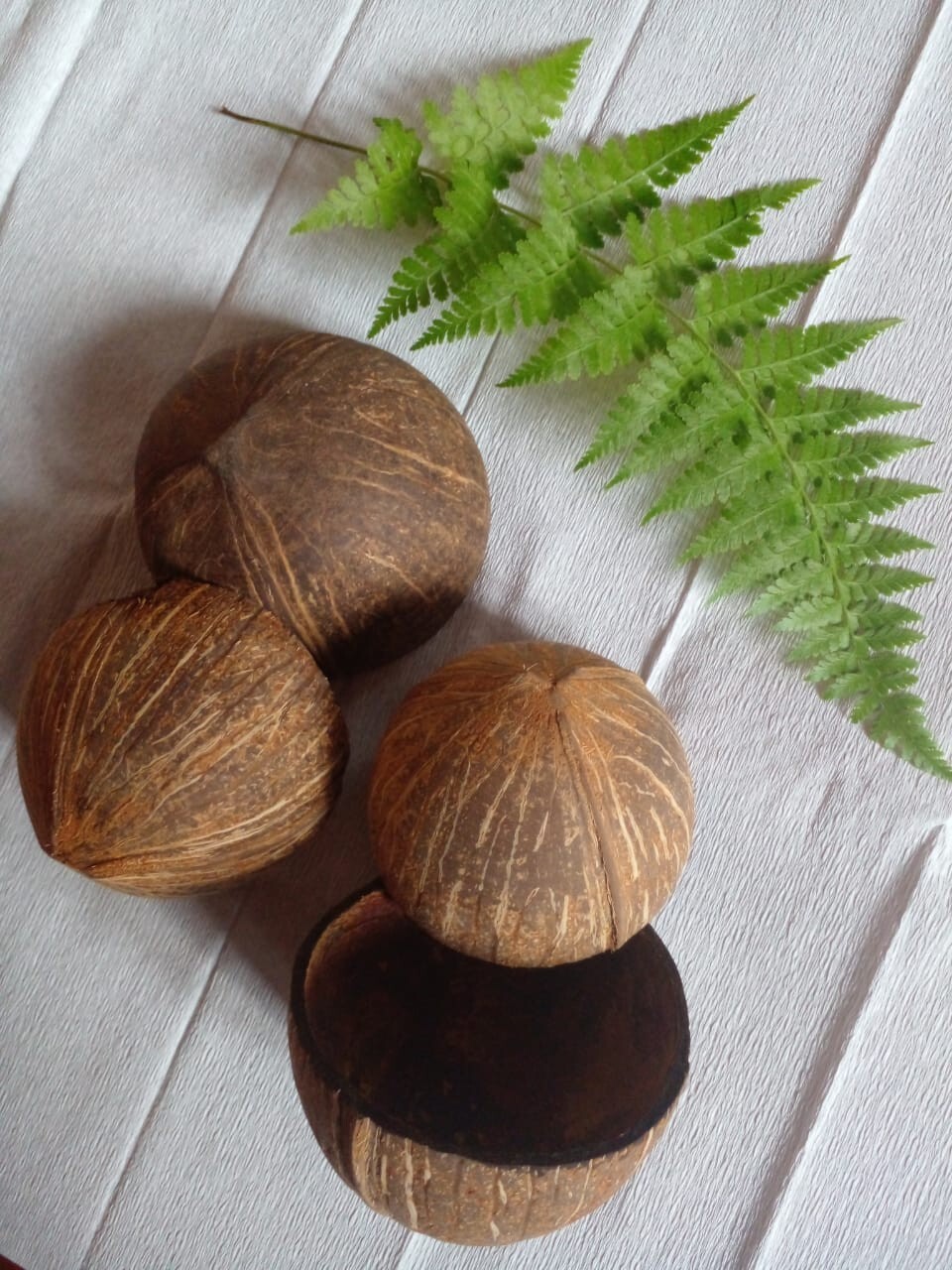 2 Coconut Shells Natural Ceylon Halves Eco Friendly Bowls Organic 100%Sri Lankan