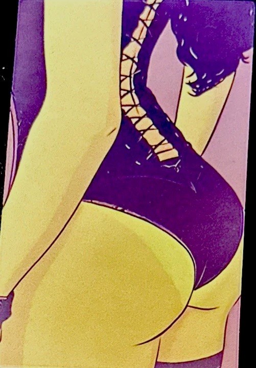 SEXY GIRL STICKER✨🔥💜🔥✨2 1/2” X 1 1/2”✨GLOSSY✨CORSET✨LONG HAIR✨CUTE✨💋💫