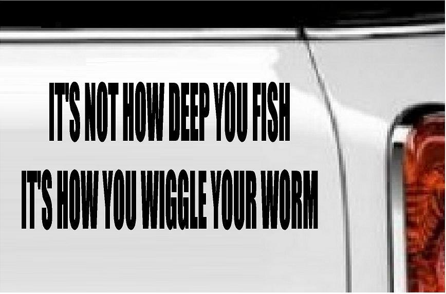 It's Not How Deep You Fish… Vinyl Decal Home Décor 4" x 8"