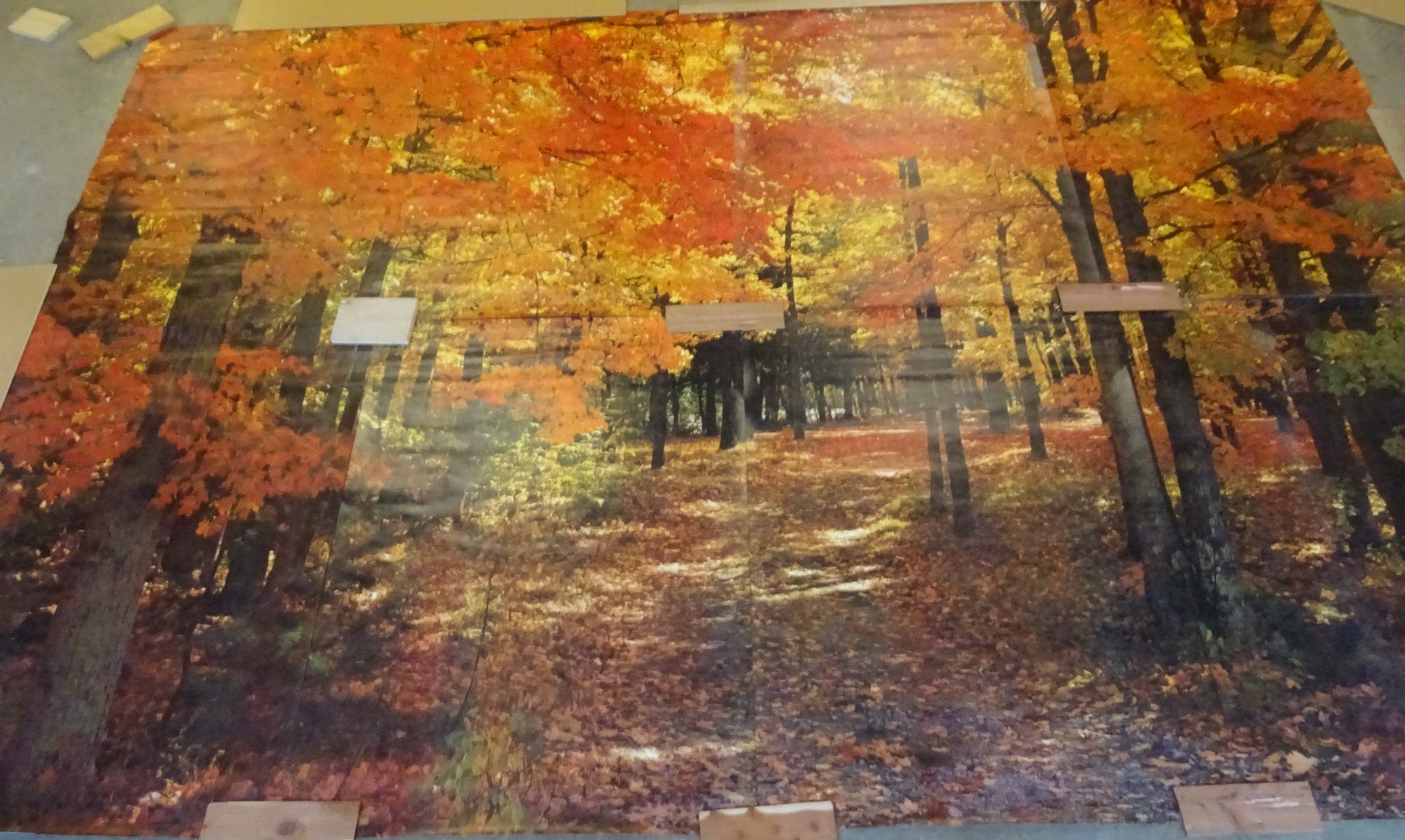 Full Wall Photo Mural Colorful Autumn Leaves Forest Path Tree 8’ 8” x 12’ 6” NOS