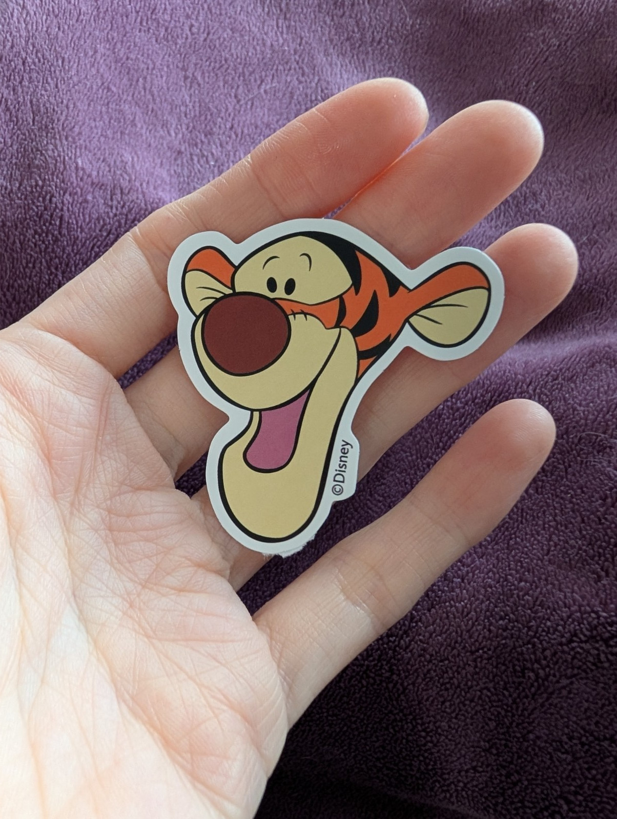 Winnie the Pooh Sticker | Whimsical Cartoon Vinyl, Tigger