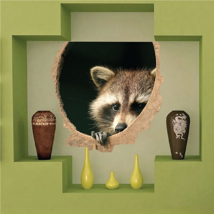 Raccoon Wall Decal 3d Wall Sticker Peel and Stick Removable Wallpaper Mural. a39