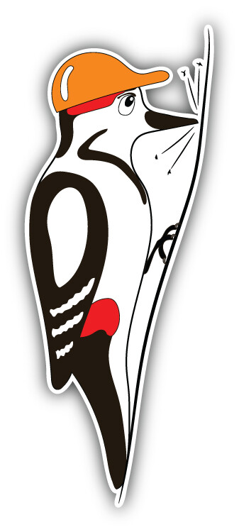 Woodpecker Animal Car Bumper Sticker Decal