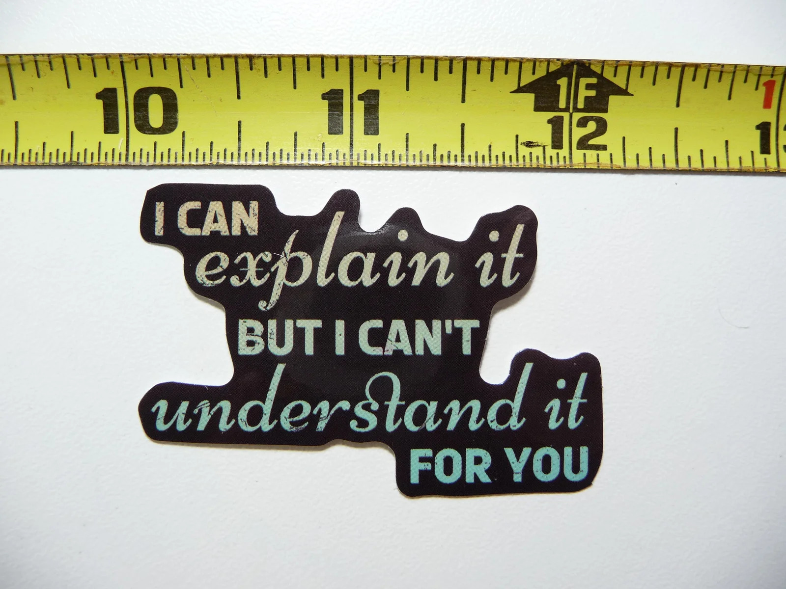 CAN EXPLAIN CAN'T UNDERSTAND SAYING SMALL STICKER DECAL FUNNY SARCASTIC SARCASM
