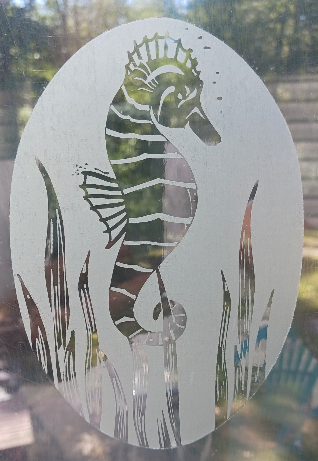 Seahorse Window Decal 4"x6" OVAL Etched Glass Look Cling Removable & Reusable 34