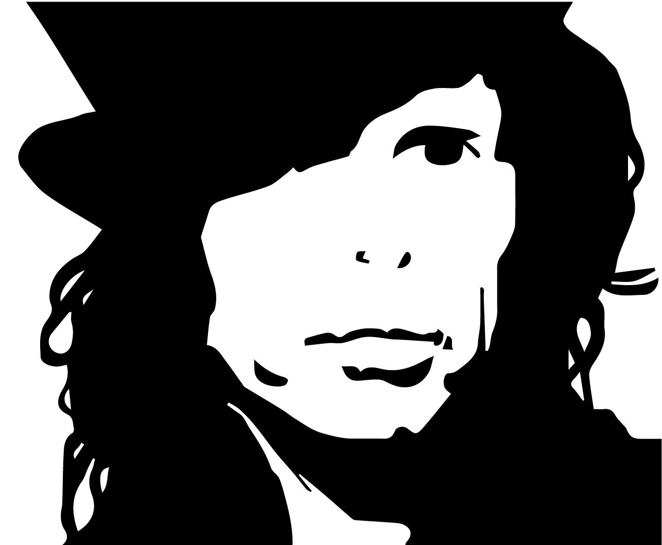 Steven Tyler vinyl decal sticker Aerosmith classic rock pink toys in the attic