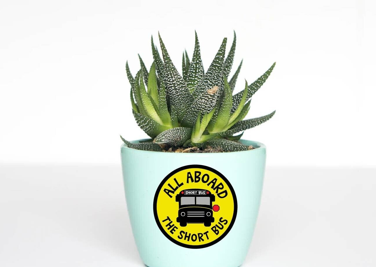 All Aboard The Short Bus Decal Sticker Funny Struggle Adulting Dumb Joke School