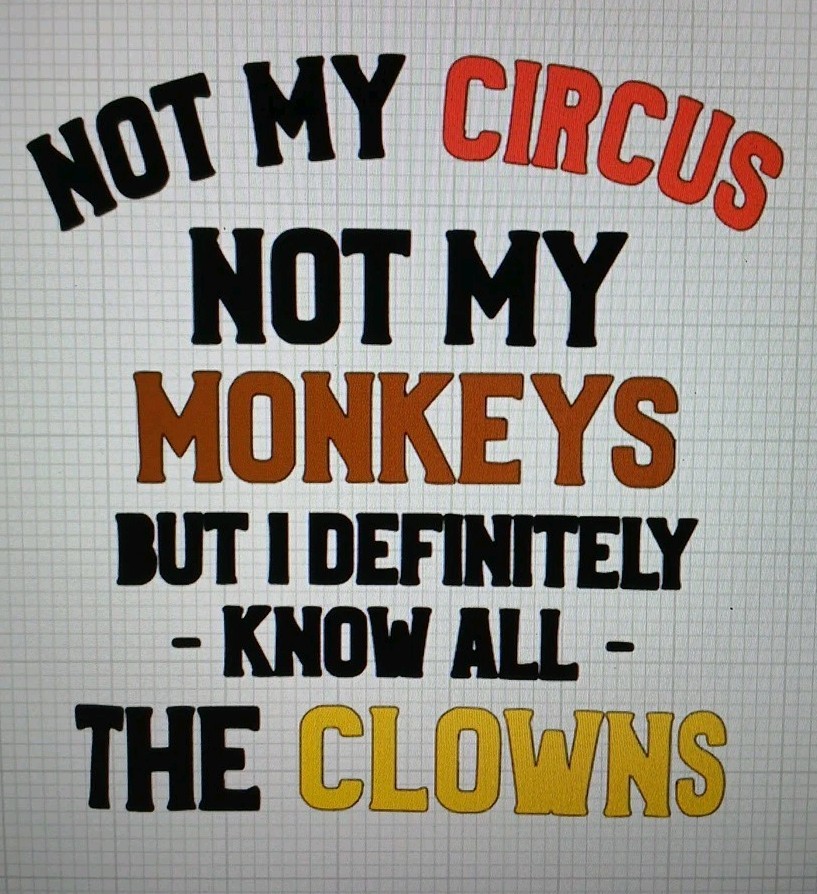 Not My Circus Not My Monkeys But I Definitely Know All The Clowns Decal