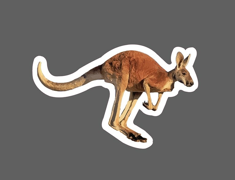 Kangaroo Sticker Jumping Waterproof – Buy Any 4 For $1.75 Each Storewide!