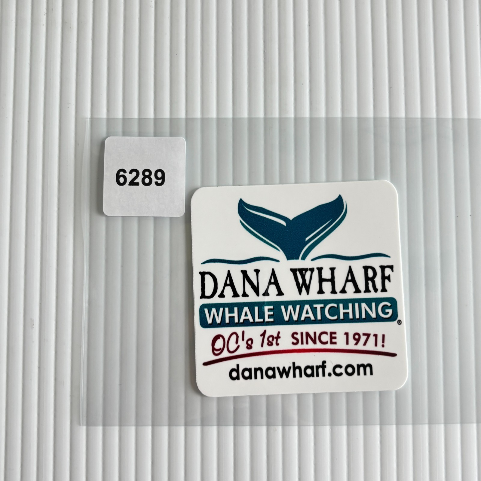 Dana Wharf Whale Watching Sticker Square 2.5in White