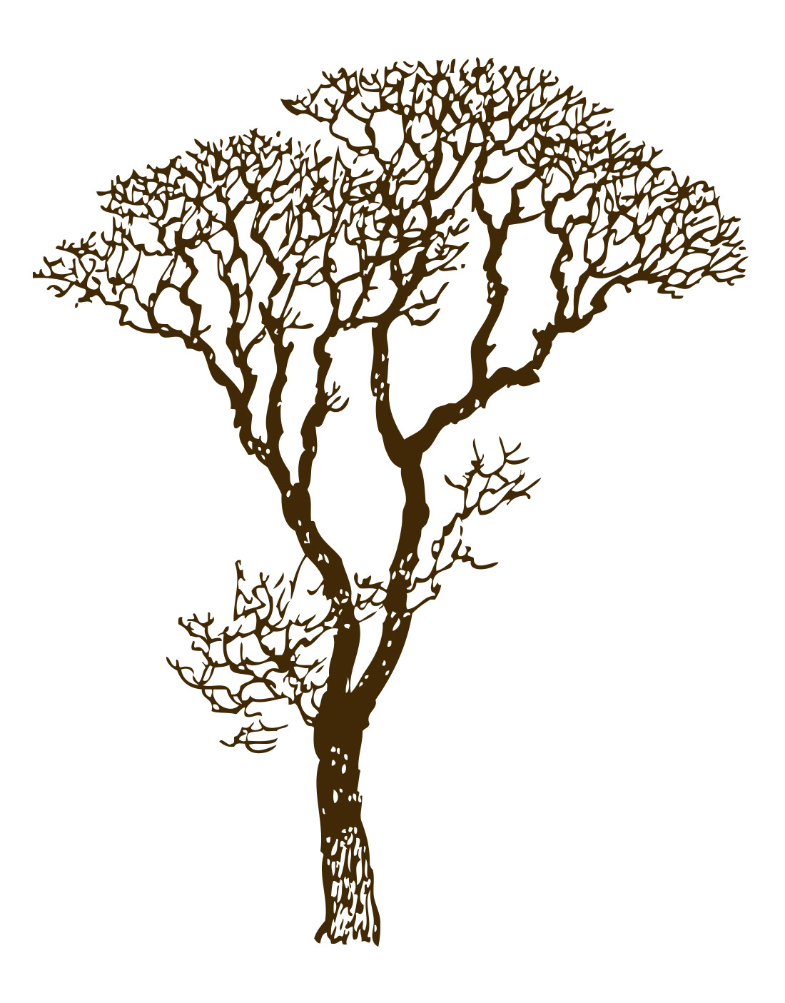 Bare Tree Wall Decal for Bedroom, Bathroom, Living Room, Nursery. #240