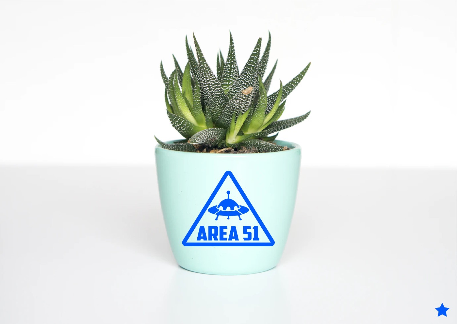 Area 51 Decal Sticker Aliens UFO Not Alone Classified Greys Ship Triangle Space