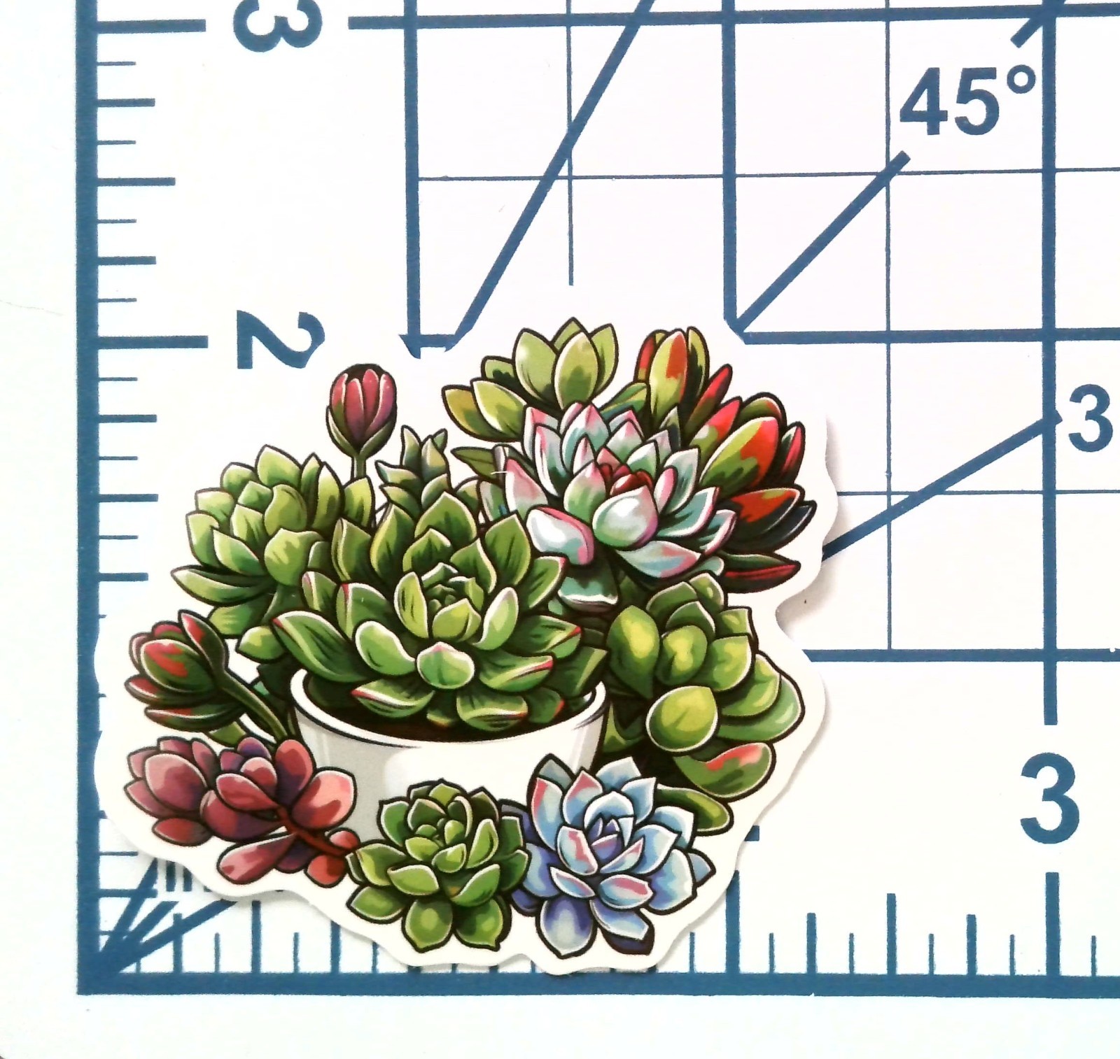 Vinyl Sticker Die Cut Succulent Arrangement Decal Rosette Plant Cute Journal