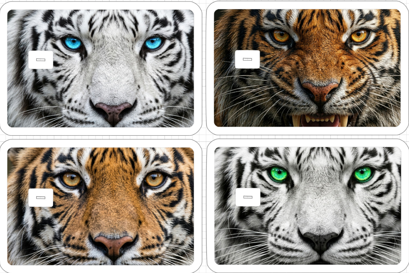 Tiger Face ATM Debit Credit Gift Card Sticker Skin Rainbow Cat White Bengal Eyes