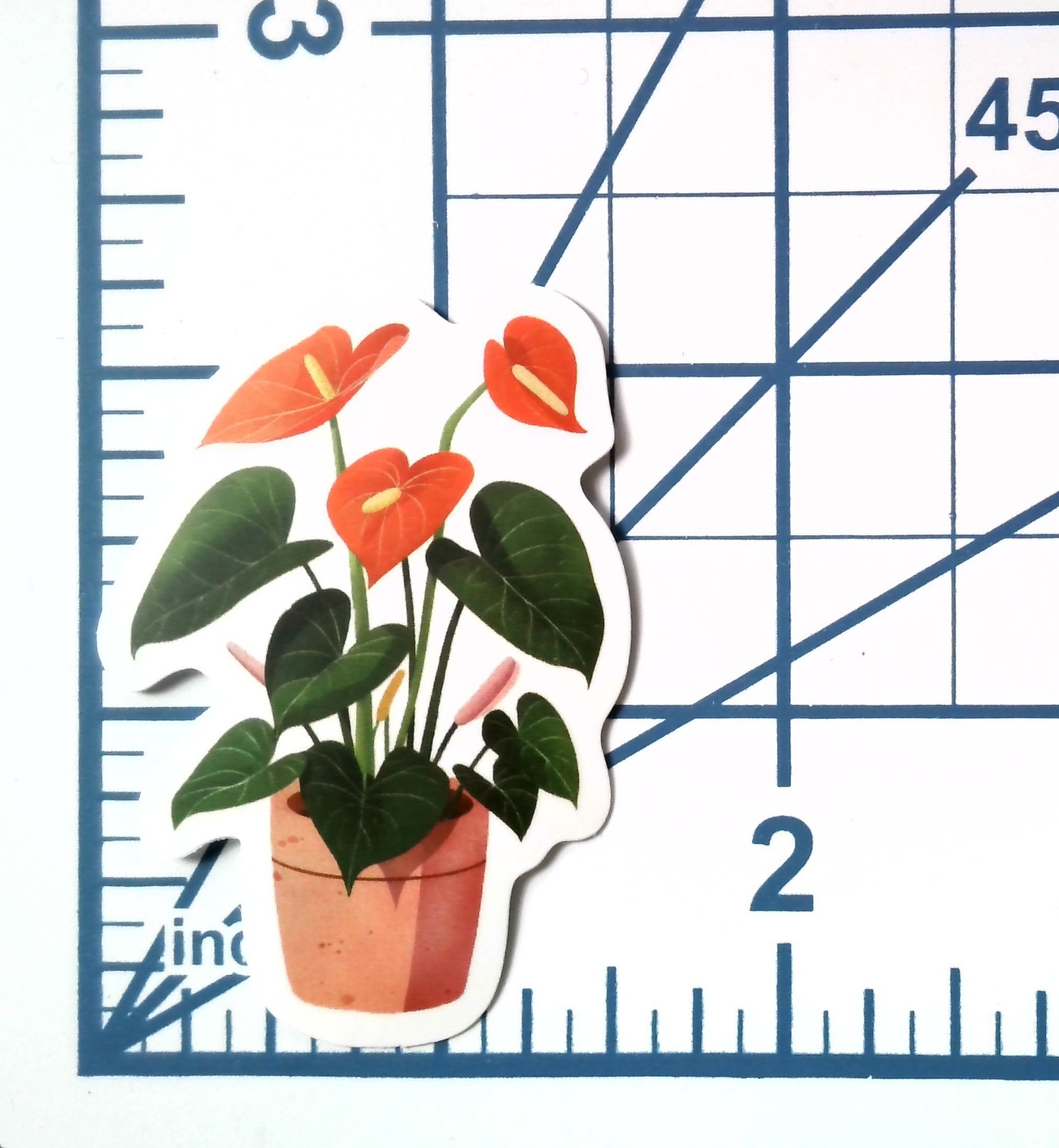 Vinyl Sticker Die Cut Anthurium Decal Flamingo Flower Tropical Plant Journal
