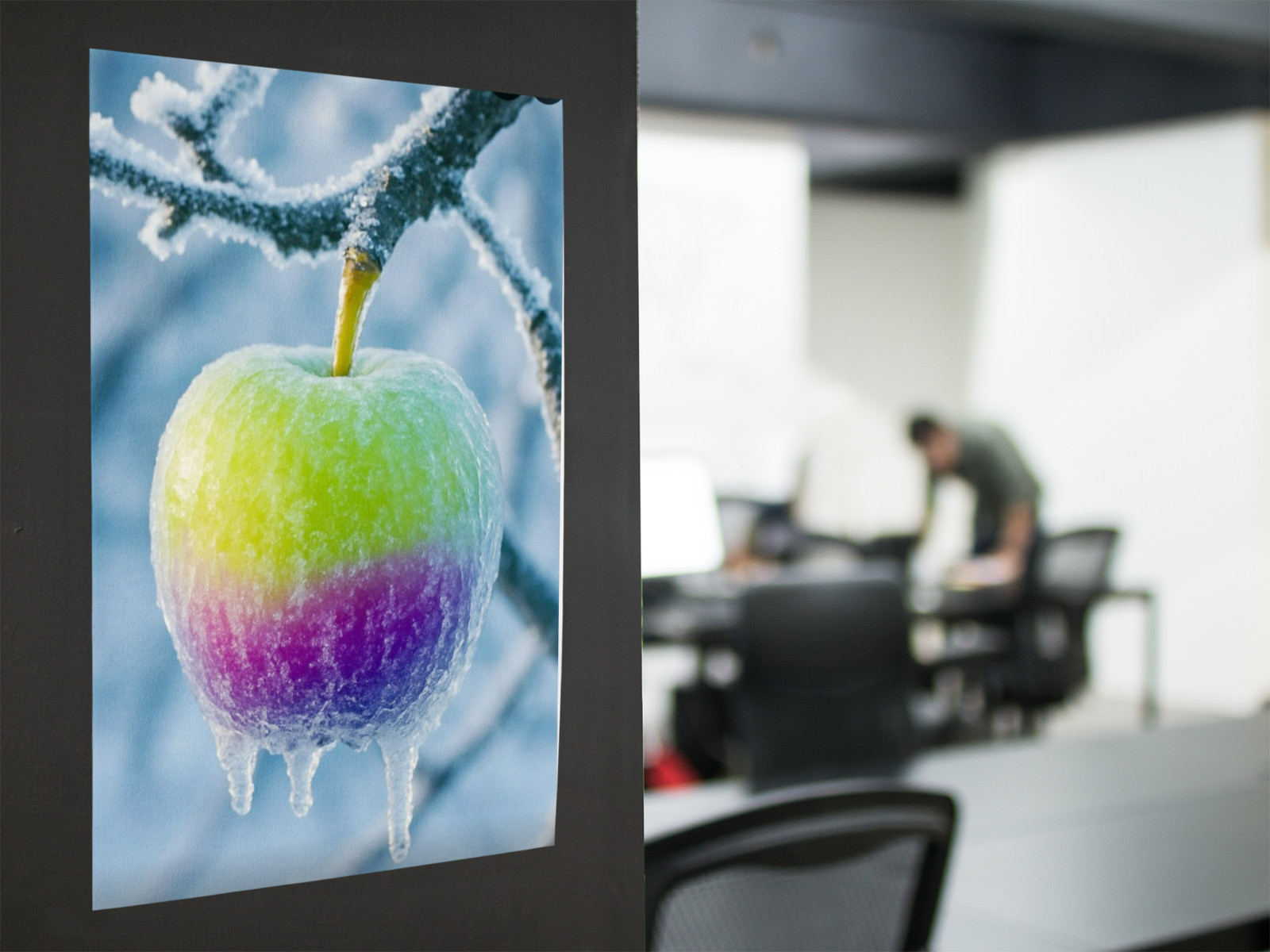 Frozen APPLE Cool Wall Graphic Vinyl Decal Poster (Removable Adhesive)