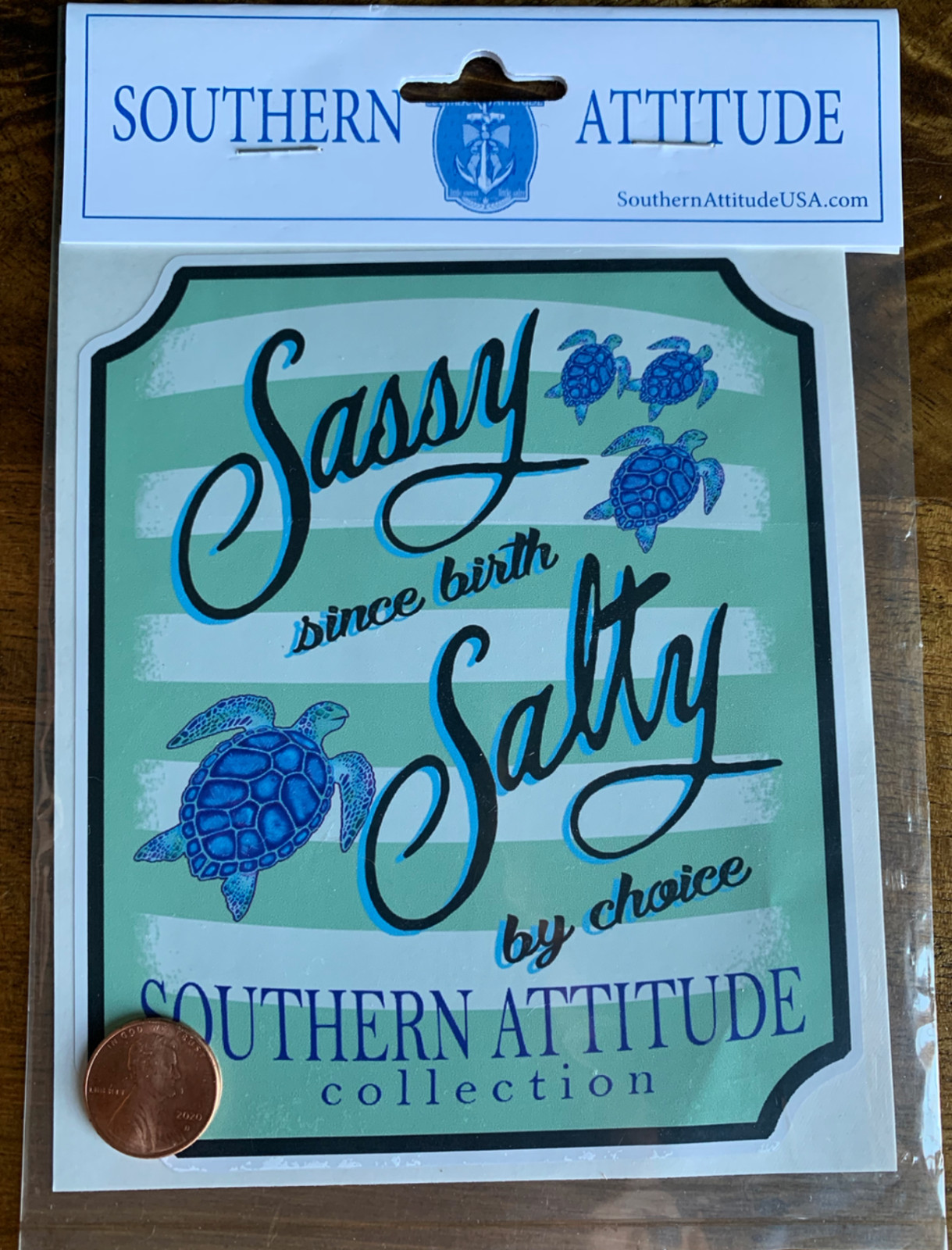 Southern Attitude Decal Sticker Wall Art Decor Hedgehog Sea Turtle Sassy Salty