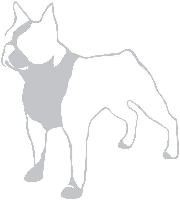 Boston Terrier Die Cut Vinyl No Background Multiple Colors Decal Made USA