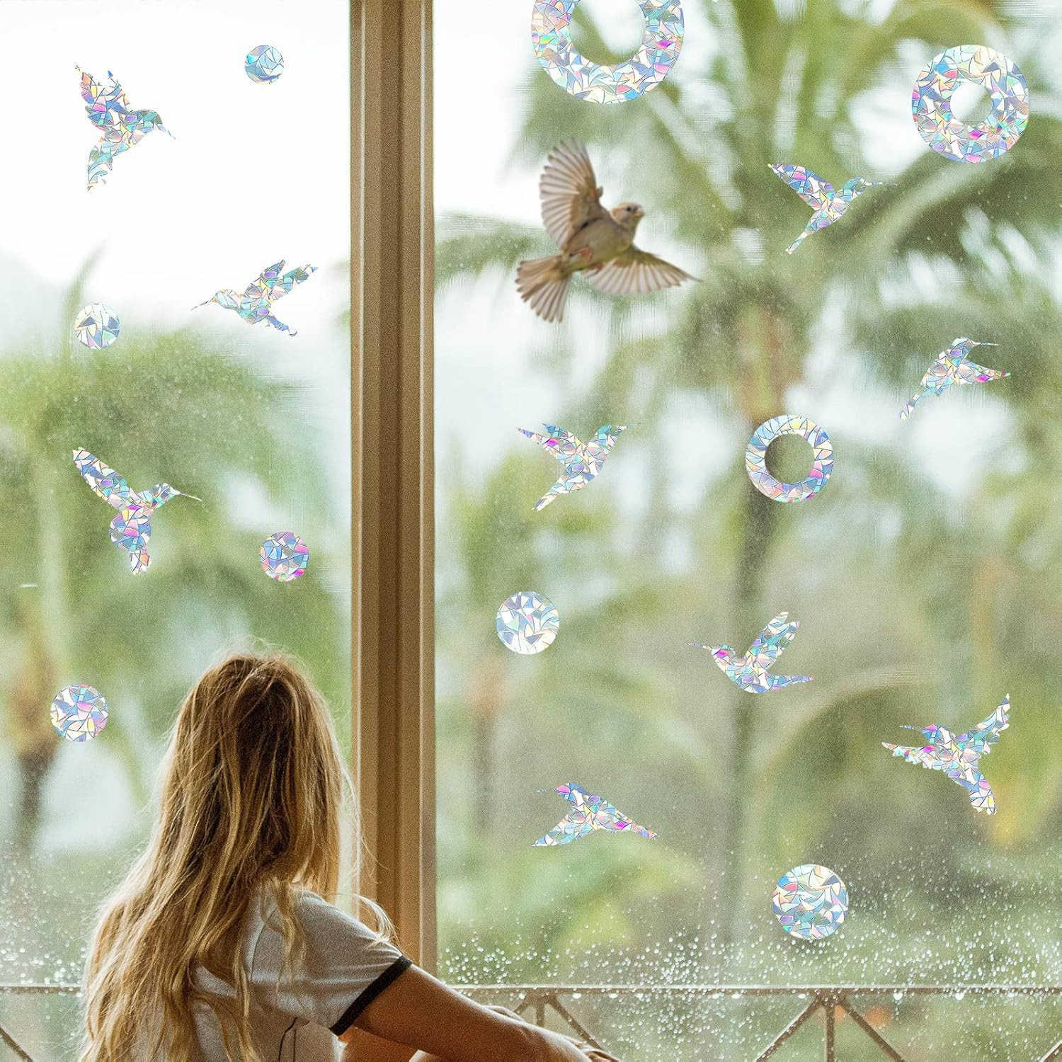 Anti-Collision Window Stickers for Birds, Window Strike Prevention Sticker