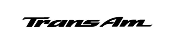 Trans Am Pontiac Vinyl Decal Die Cut