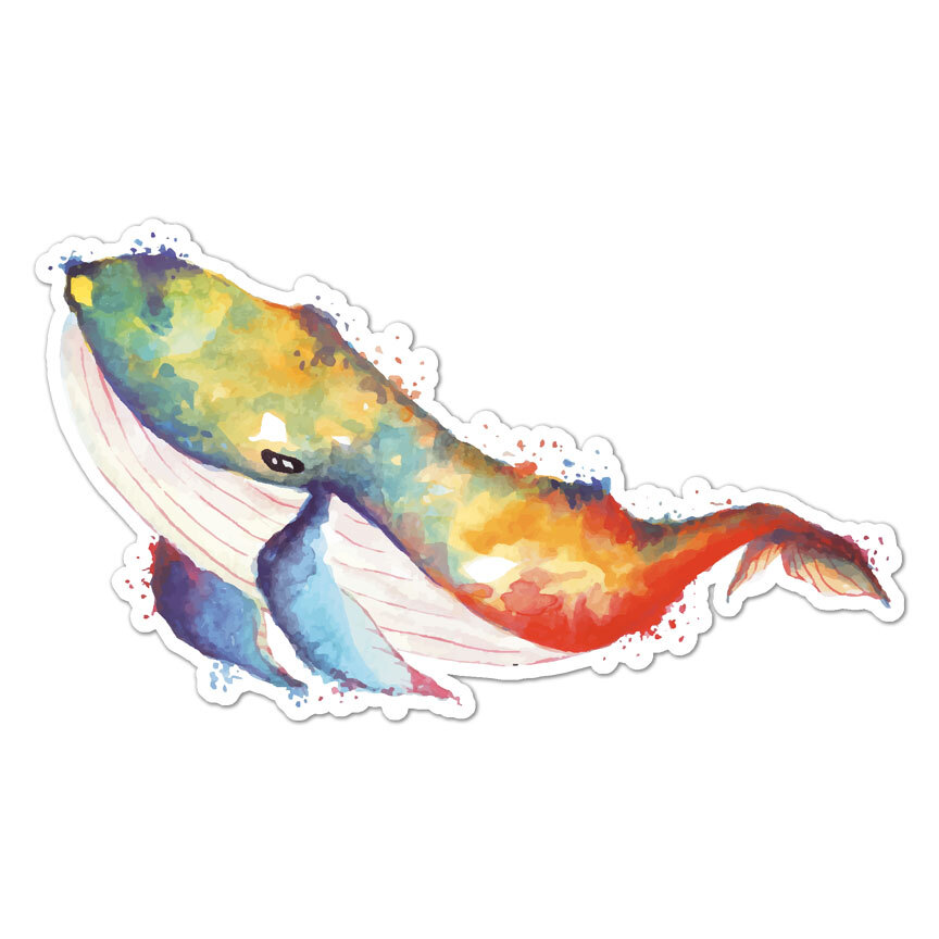Watercolor Whale, Vinyl Decal Sticker, Indoor Outdoor, 3 Sizes, #8951