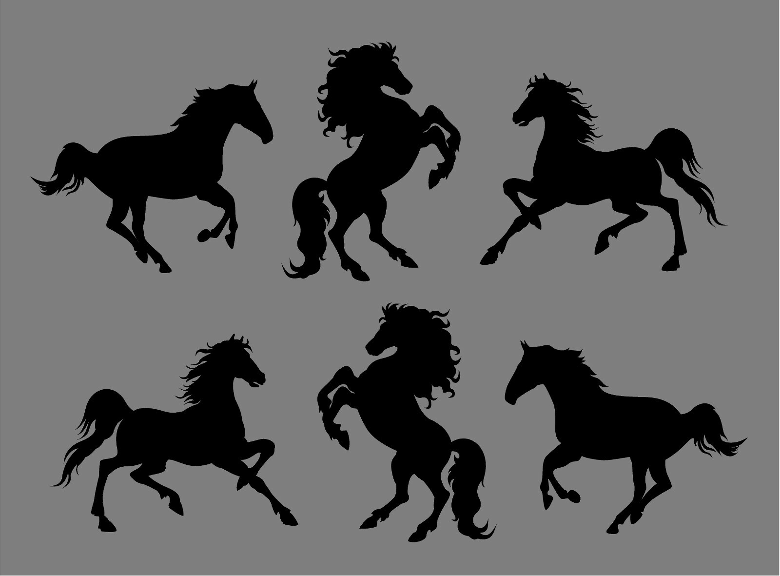 Vinyl Horse Decals set of six horses trailer equestrian decal window stickers