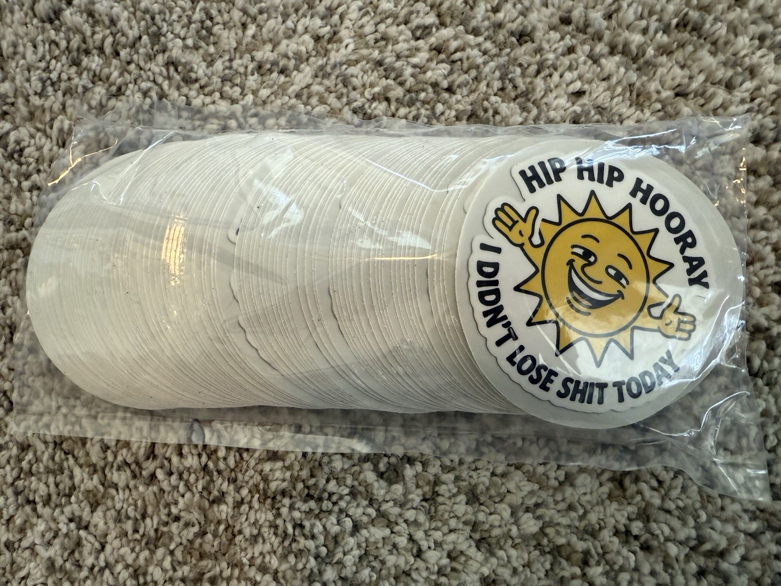 100 Count 3” Funny Stickers