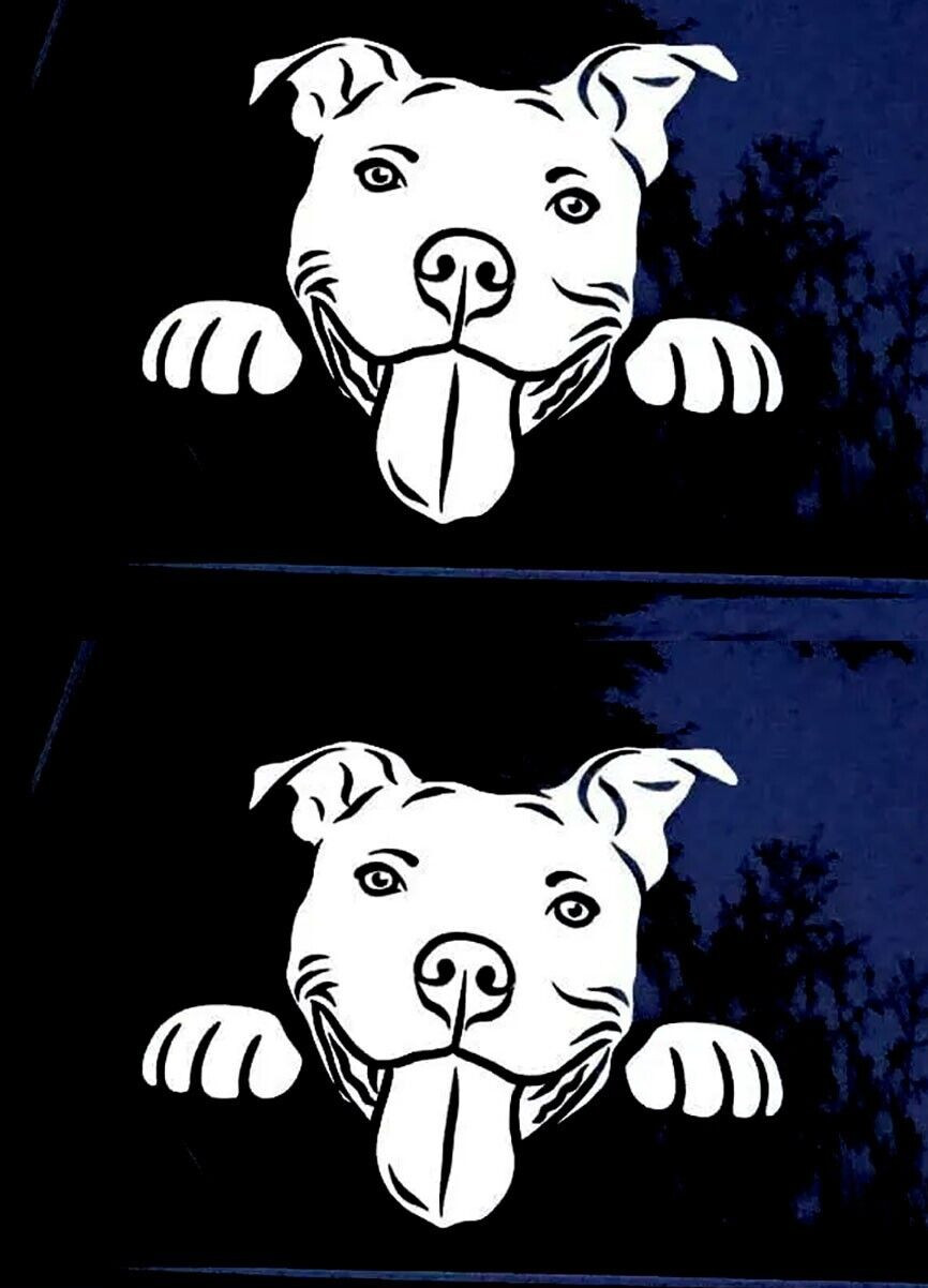Pitbull Peeking Two 6" Bully White Vinyl Decals Car Windows Laptop Tablet