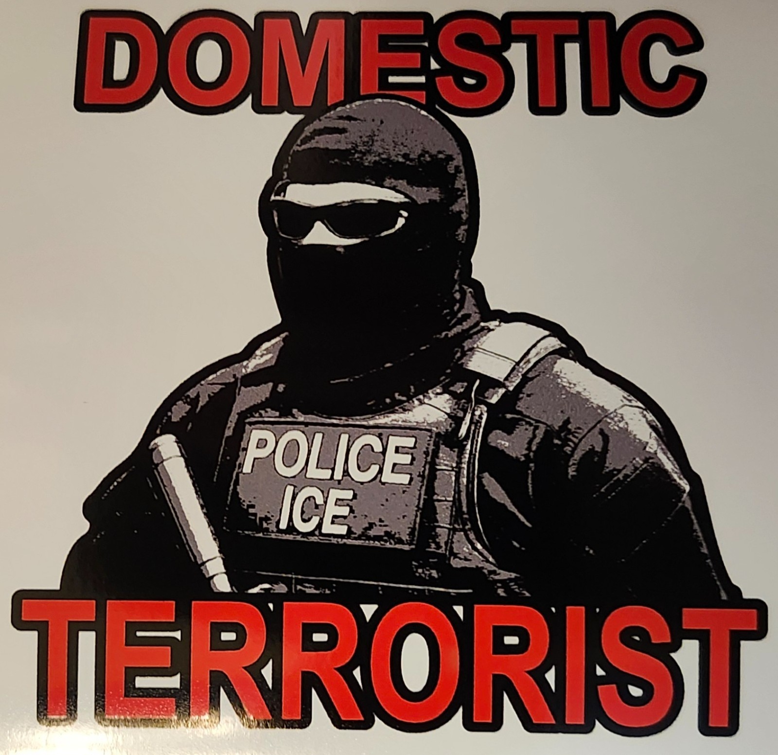 Anti ICE 3.5" vinyl bumper sticker Trump domestic terrorist, Renee good pretti