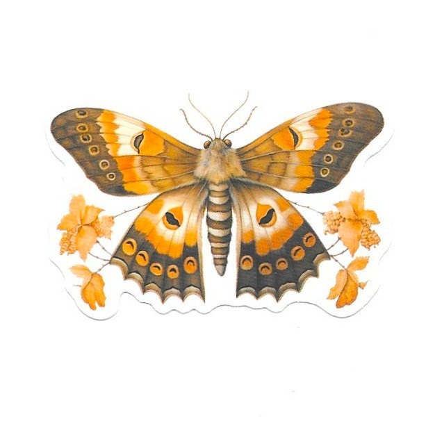 Ochre Tawny Emperor Moth Vinyl Sticker Vintage Orange Insect Journal Laptop
