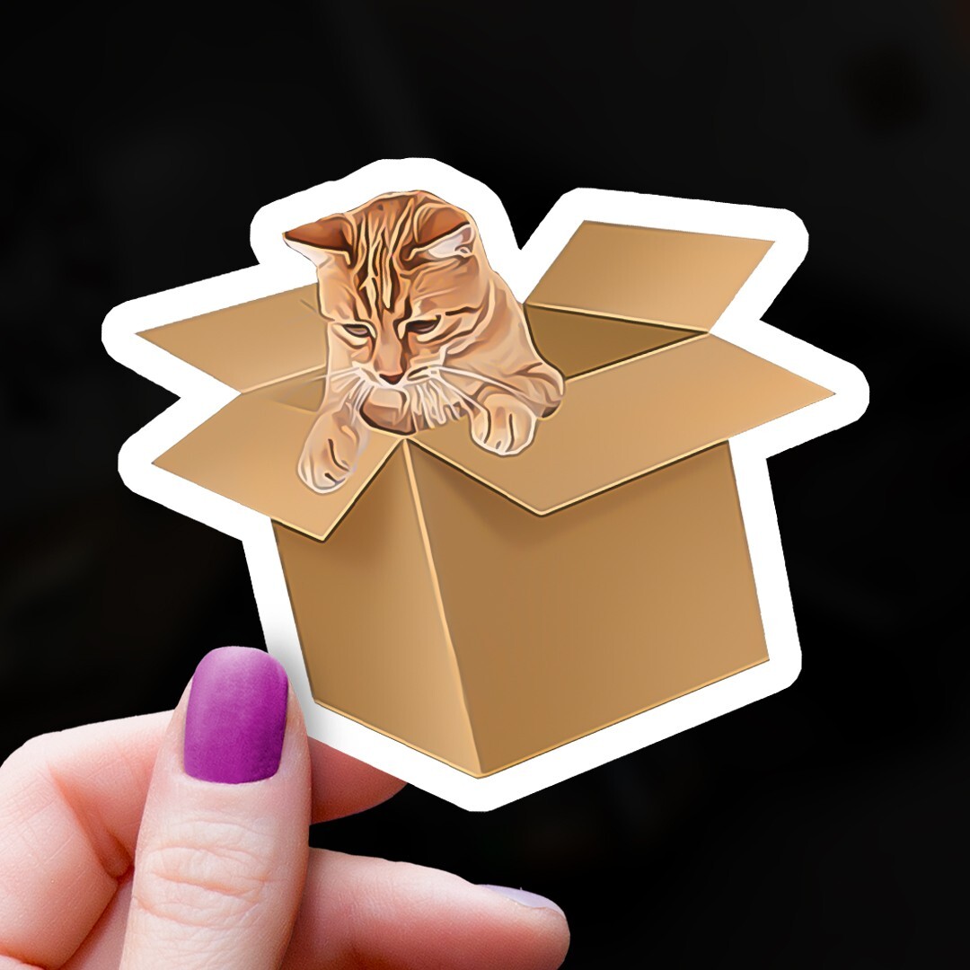 Cute Tabby Cat in Box Vinyl Sticker